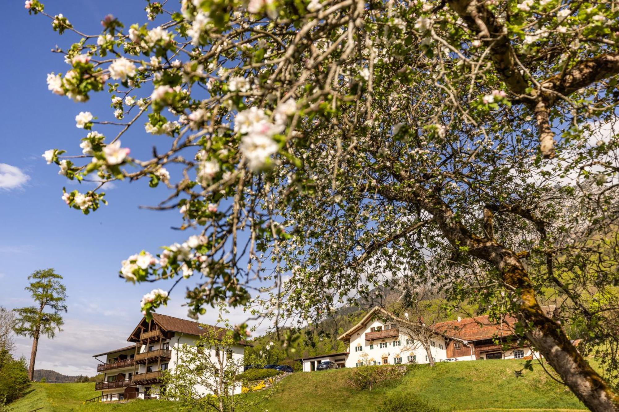 Ferienwohnungen Am Gablerhof Bad Reichenhall Exterior photo
